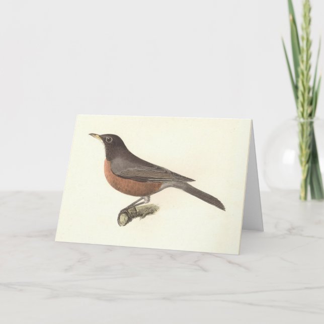 Amerikanska Robin (Turdus migratorius) NY Birds Kort (Framsida)