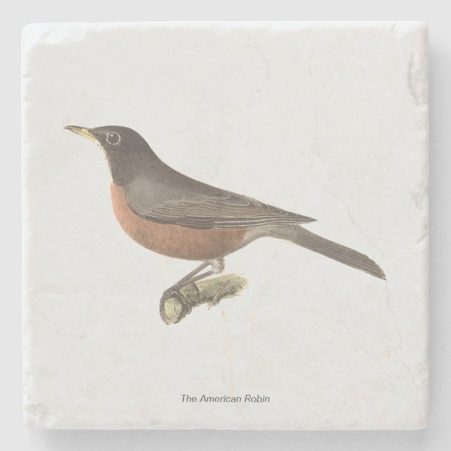 Amerikanska Robin (Turdus migratorius) NY Birds Stenunderlägg (Framsidan)