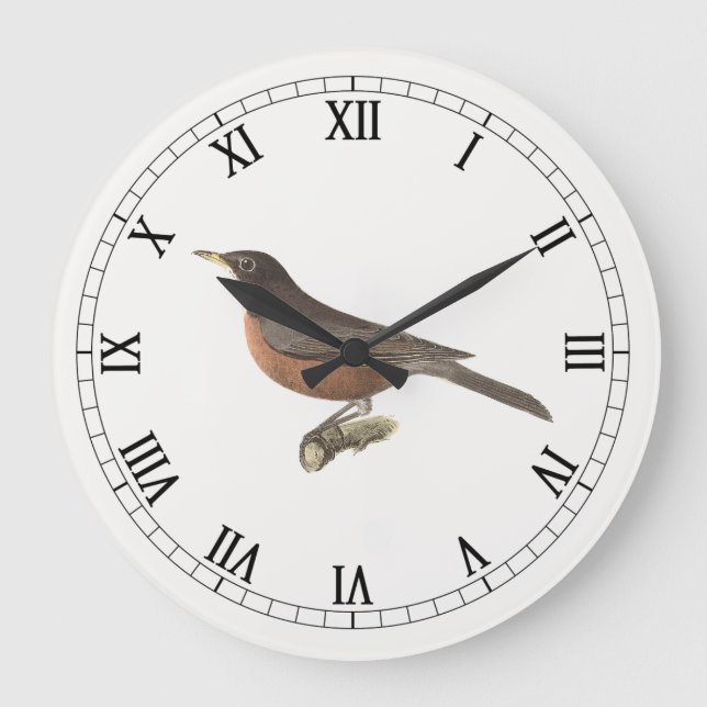 Amerikanska Robin (Turdus migratorius) NY Birds Stor Klocka (Framsida)
