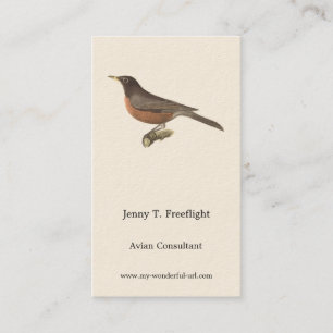 Amerikanska Robin (Turdus migratorius) NY Birds Visitkort