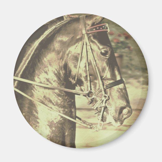 Amerikanska Saddleavlade Faux-Vintagen Magnet (Framsidan)