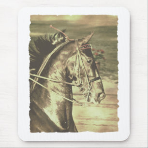 Amerikanska Saddleavlade Faux-Vintagen Musmatta