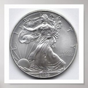 Amerikanska Silver Eagle Poster
