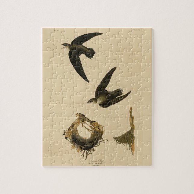 Amerikanska (Skorsten) Swift Audubon, amerikanska  Pussel (Vertikal)