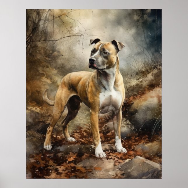 Amerikanska Stafford Hund Art Print Poster (Framsidan)