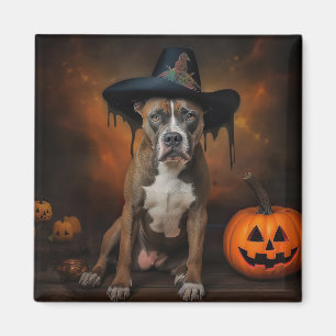 Amerikanska Staffordshire Pumpa Halloween Skräck Magnet