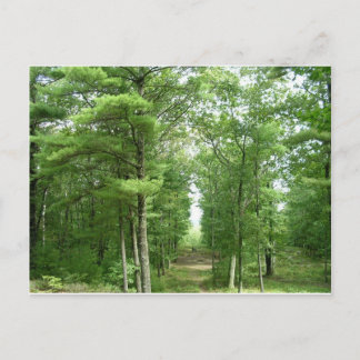 Amerikanska stenehenge, Salem, VT Vykort