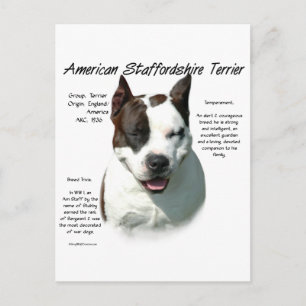 Amerikanska Stviddshire Terrier History Vykort
