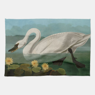 Amerikanska Svan-fåglar i Amerika Audubon Kökshandduk