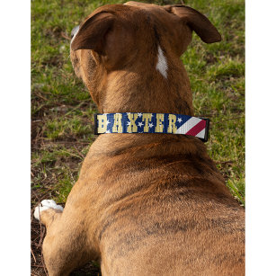 Amerikanska USA flagga Stars Rand Hund Puppy Namn Halsband Husdjur