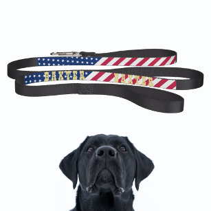 Amerikanska USA flagga Stars Rand Hund Puppy Namn Koppel