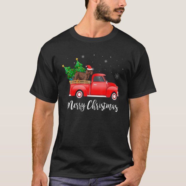 Amerikanska Vatten-spanjoren Hund Riding Red Lastb T Shirt (Framsida)