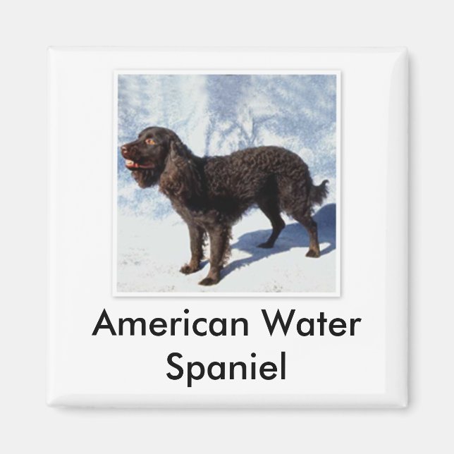 Amerikanska Vatten Spanska Magnet (Framsidan)