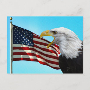 Amerikanska vykort för Flagga och Örn