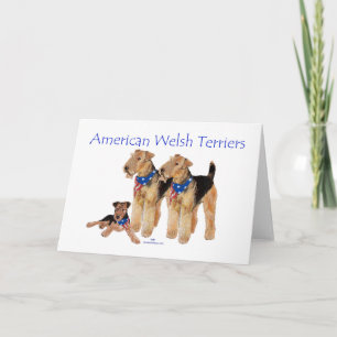 Amerikanska Welsh Terriers Kort