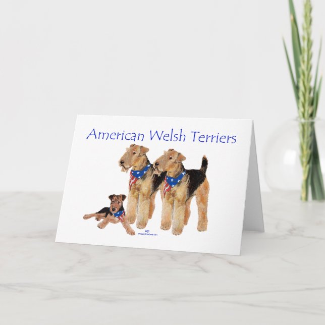 Amerikanska Welsh Terriers Kort (Framsida)