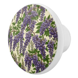 Amerikanska Wisteria mönster teckning Knopp