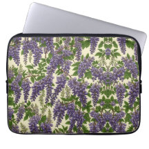 Amerikanska Wisteria mönster teckning