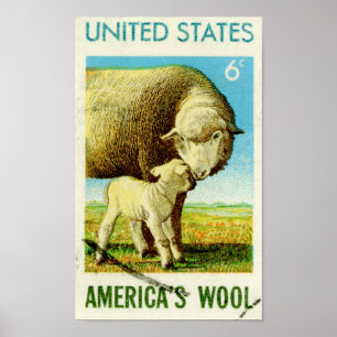 Amerikanska ylle Retro Sheep Poster