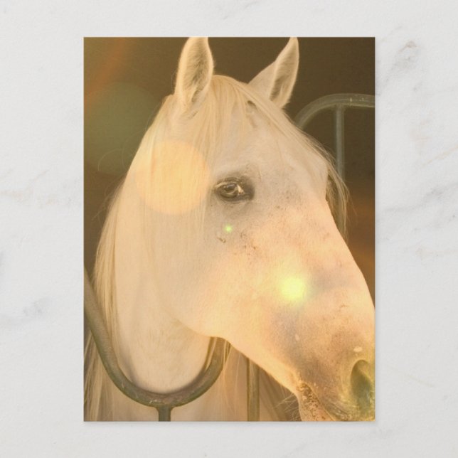 Amerikanskt andalusiskt vykort (Framsida)