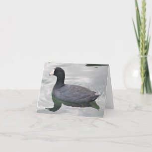 Amerikanskt Coot Photo Folant Note Card Anteckningskort