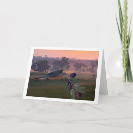 Amerikanskt enhetskort kort