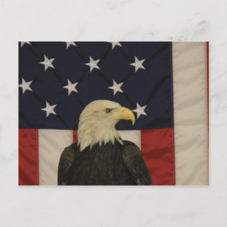 Amerikanskt Flagga- och Örn-kort Vykort