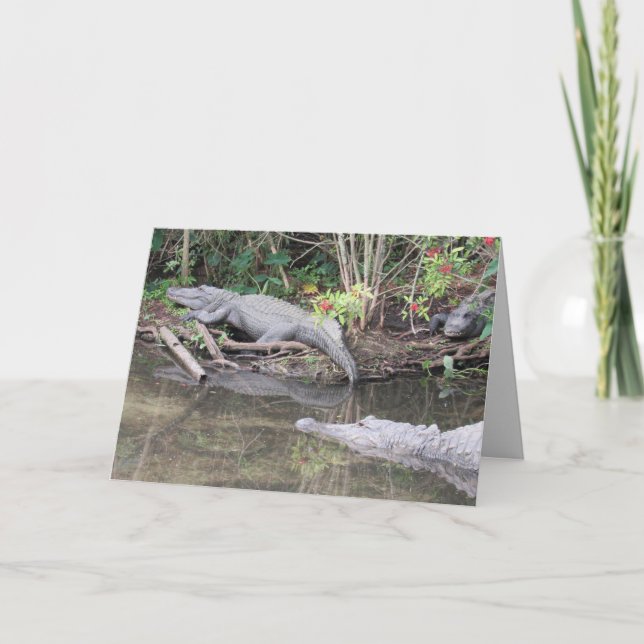 Amerikanskt hälsningskort för Alligator Helgkort (Framsida)