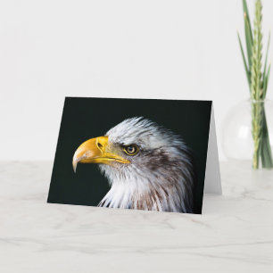 Amerikanskt jacklagkort kort