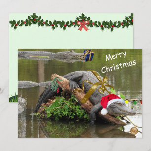 Amerikanskt julklapp för Alligator