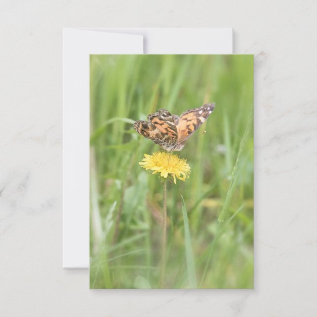 Amerikanskt målat Dam Butterfly Notecard OSA Kort (Framsida)