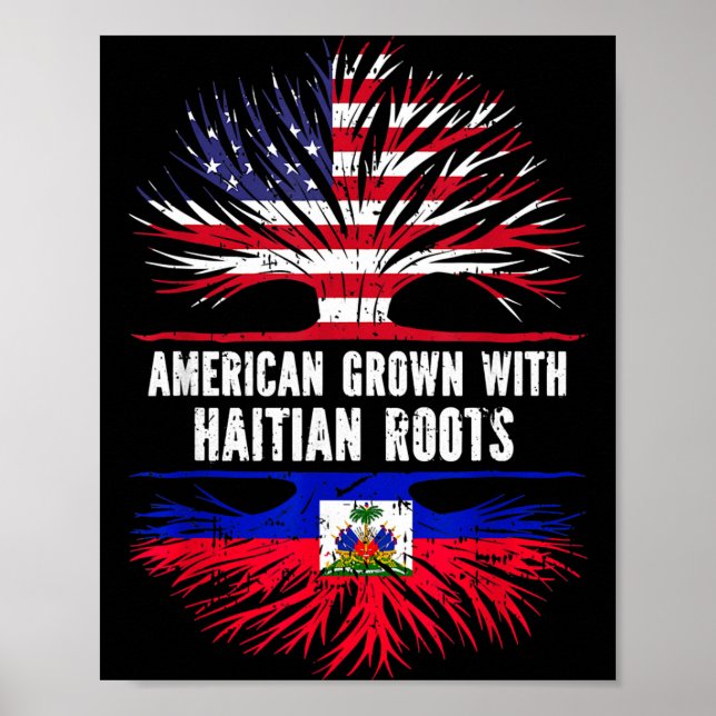 Amerikanskt Odlade Med Haitiska Rötter Usa Flagga  Poster (Framsidan)