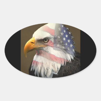 amerikanskt pride ovalt klistermärke