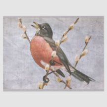 Amerikanskt Robin Bird Decoupage-papper