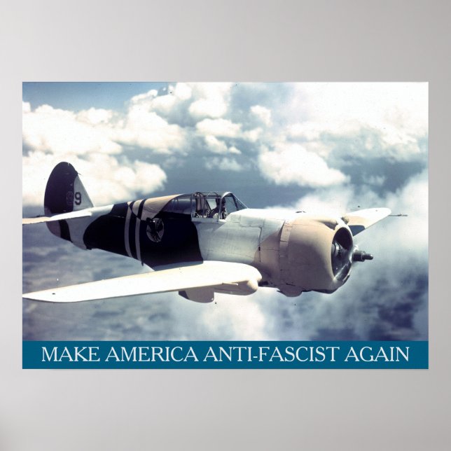 Amerikanskt WWII-plan MAAFA Poster (Framsidan)