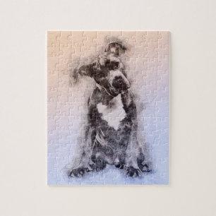 AmerikanStaffordshire Terrier - Amstaff valp Pussel