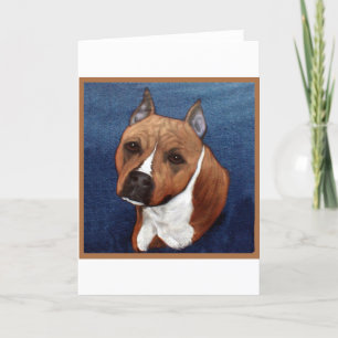 AmerikanStaffordshire Terrier Kort
