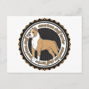 AmerikanStaffordshire Terrier Vykort