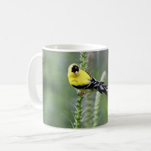Amerikansteglits Kaffemugg