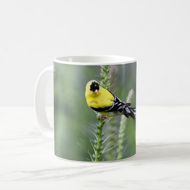 Amerikansteglits Kaffemugg (Framsida vänster)