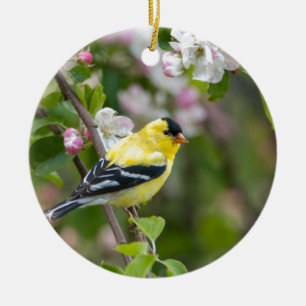 Amerikansteglits med våräppleblommar julgransprydnad keramik