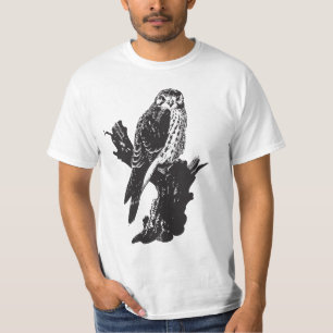 Amerikantornfalken skissar t shirt