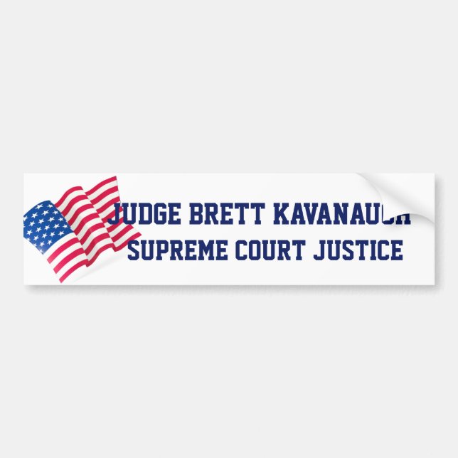 AmerikanUSA flaggan bekräftar domaren Brett Bildekal (Framsidan)