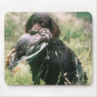 AmerikanvattenSpaniel Mousepad Musmatta