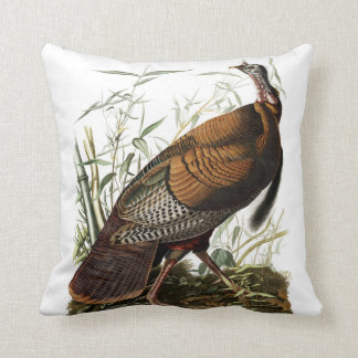 Amerikanvilden Turkiet kudder, James som Audubon Kudde