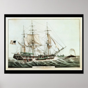 AmerikanWhaler som inristas av den Nathaniel Poster