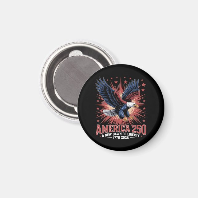 Amerikas 250-årsjubileum  magnet (Front/Back)