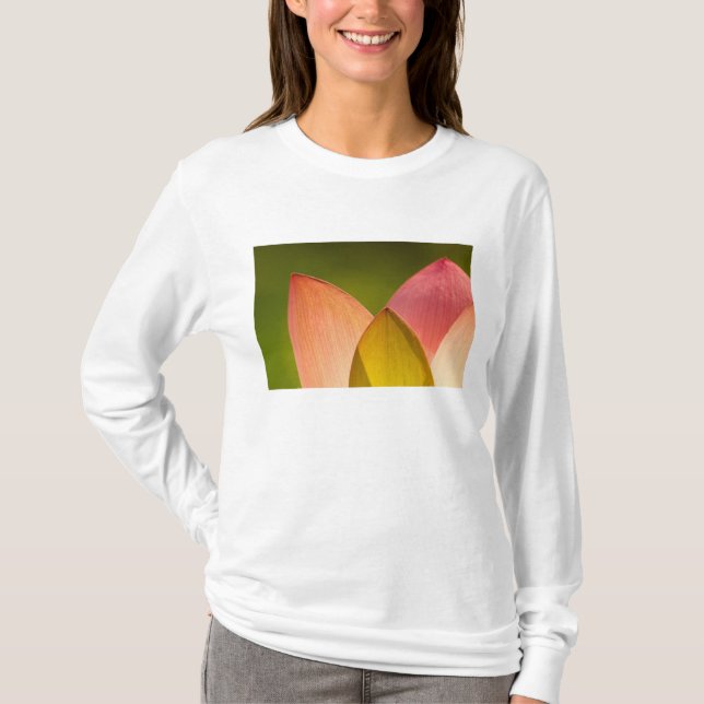 Amerikas förenta stater, DC, Washington, Kenilwort T Shirt (Framsida)
