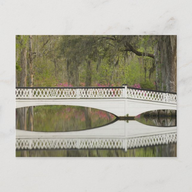 Amerikas förenta stater; South Carolina; Charlesto Vykort (Framsida)