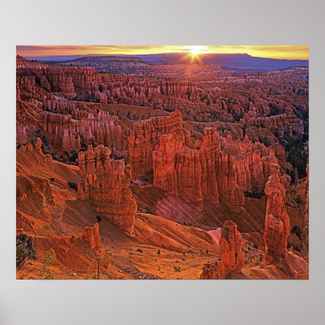 Amerikas förenta stater, Utah, Bryce Canyon Nation Poster (Framsidan)